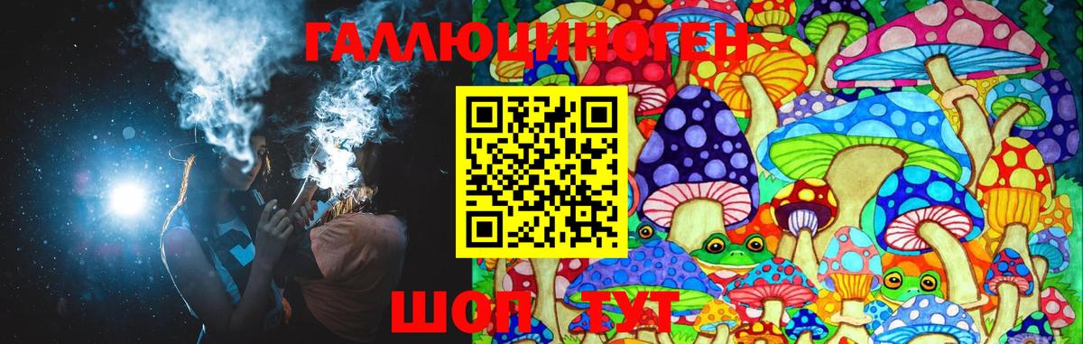 Галлюциногенные грибы Psilocybe  Вход с VPN  Кольчугино 