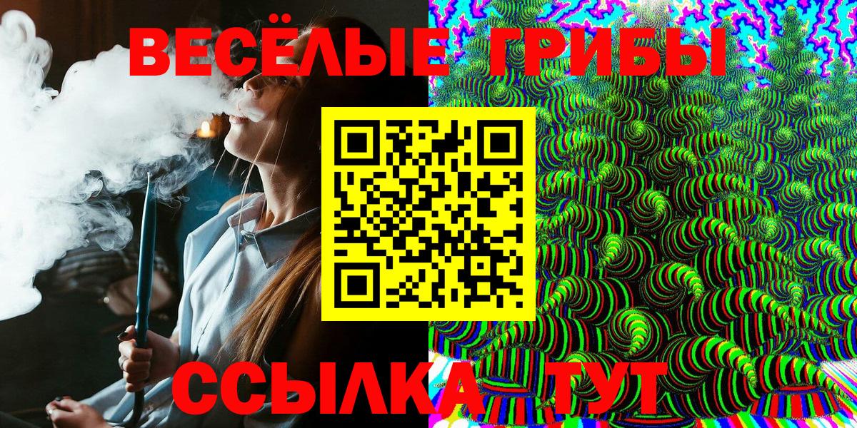Псилоцибиновые грибы прущие грибы Кольчугино
