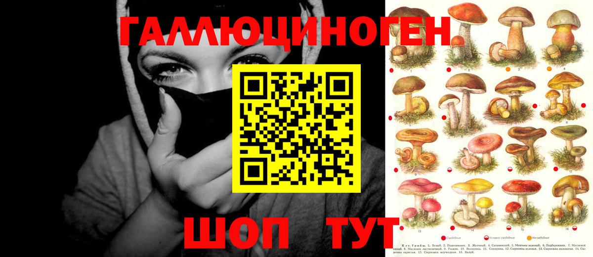  КОКАИН Кольчугино